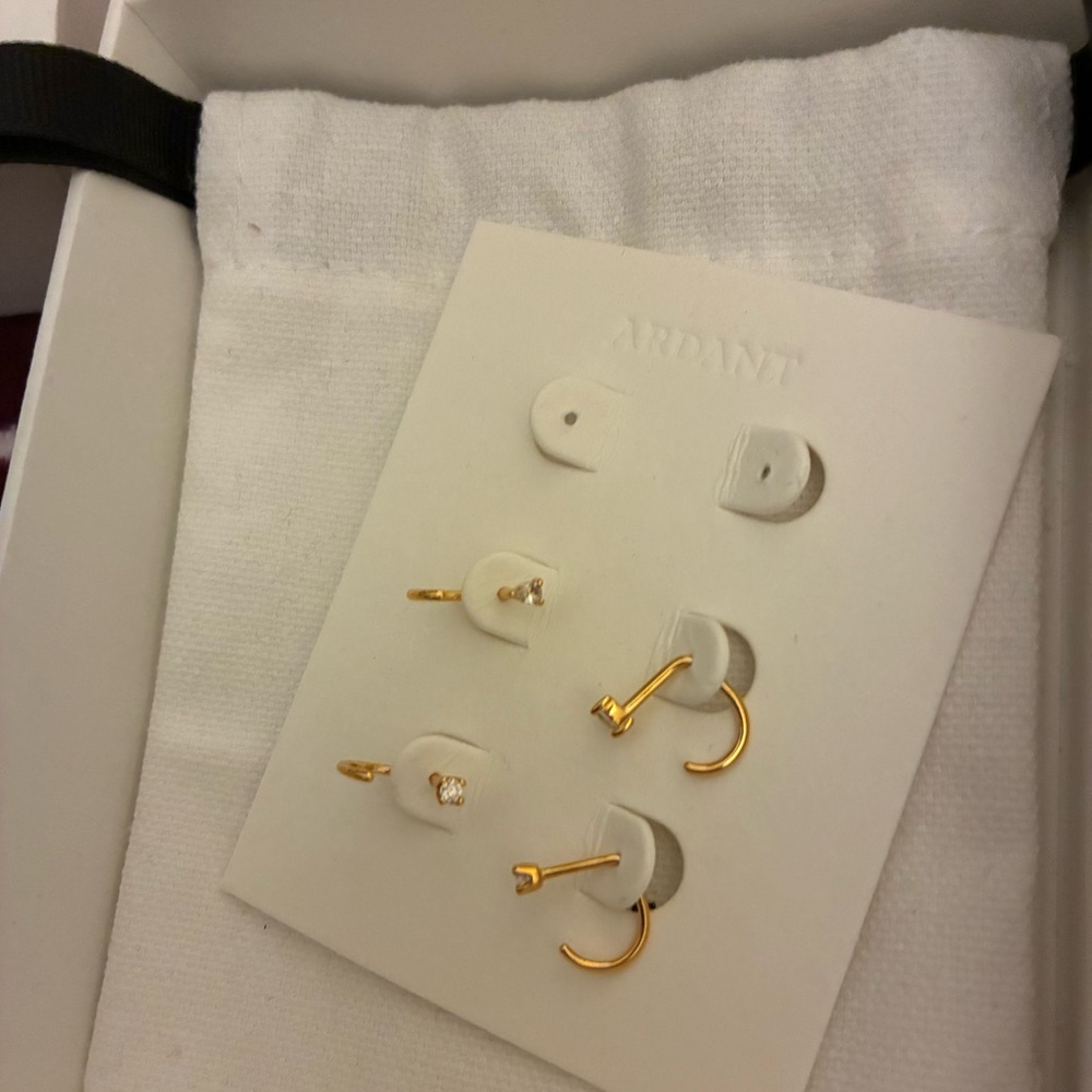 ARDANT 2 Pairs Huggie Hoop Earrings Set - Picture 5 of 8